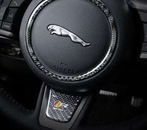 Jaguar Carbon Fiber Steering Wheel Trim